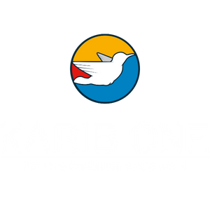 logo KaribOne 